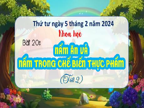Bài giảng Khoa học 4 (Kết nối tri thức) - Bài 20: Nấm ăn và nấm trong chế biến thực phẩm (Tiết 2) - Năm học 2023-2024 - Nguyễn Thị Thanh Huyền
